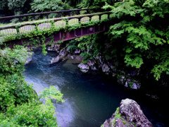 四万十川　上流（支流）　使われなくなった鉄橋。