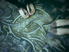 小道の地面キラキラ