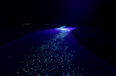 星の足跡