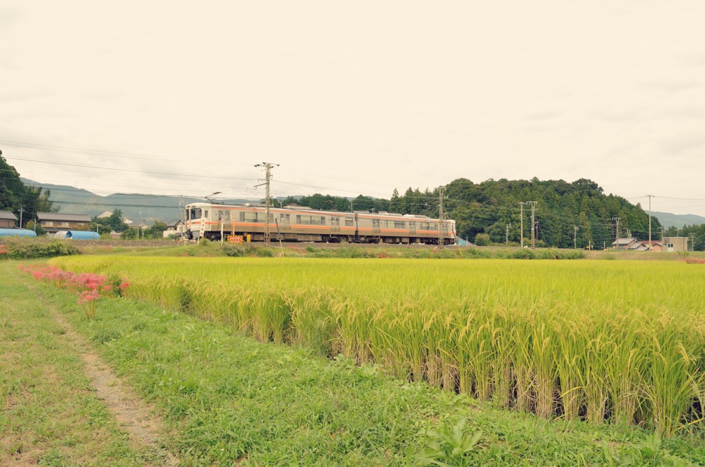 打ち明けられない 言い出せない