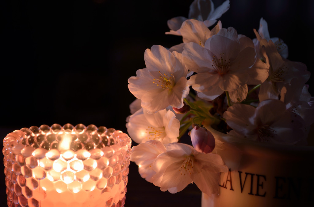 Bar 桜