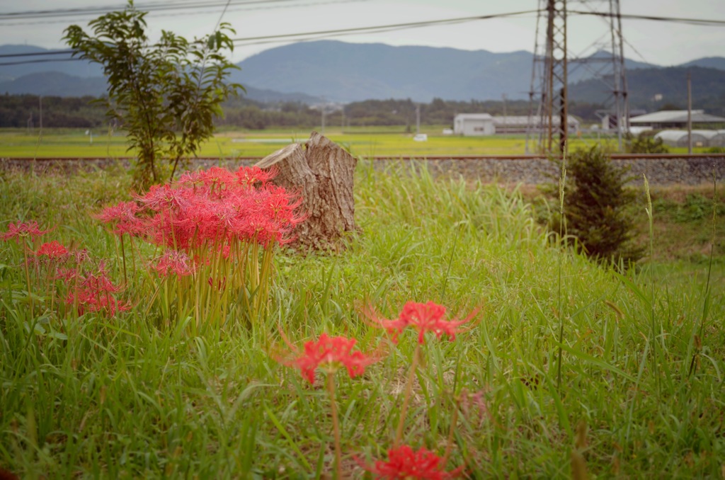 心の原風景を探して