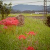 心の原風景を探して