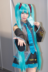 IMGP8213-1