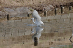 IMGP9057