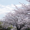 IMGP9681