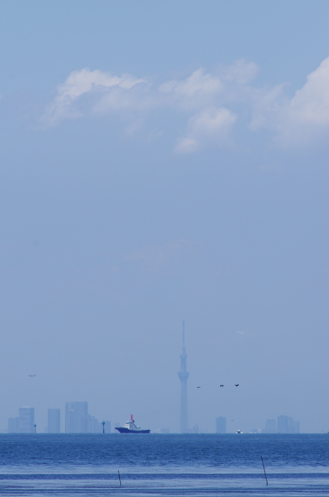 IMGP4479