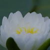 IMGP6266