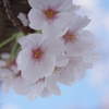 IMGP9716
