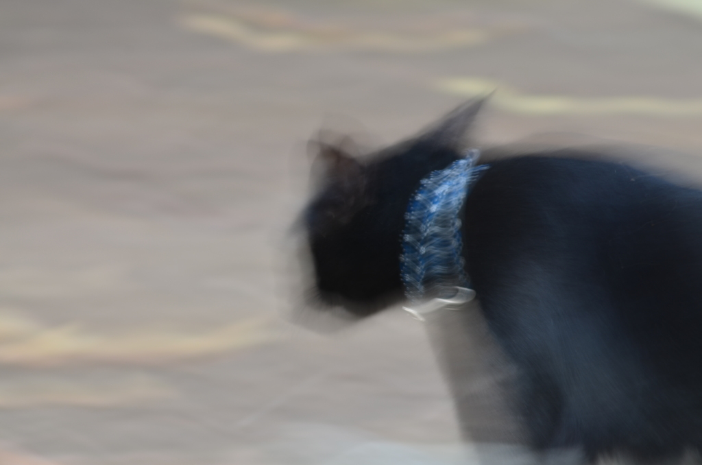 撮影拒否