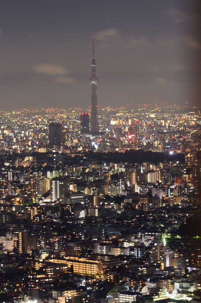 スカイツリー（Sky Tree above the neon lights）