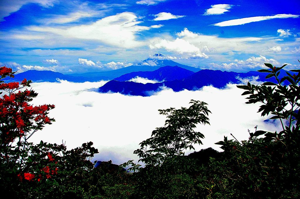 滝子山からの富士山