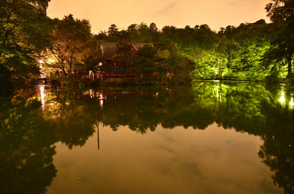 闇夜の静風景