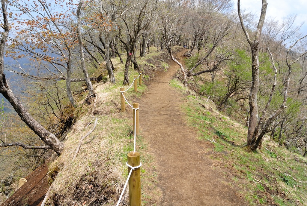 5月の鍋割山　鍋割山稜