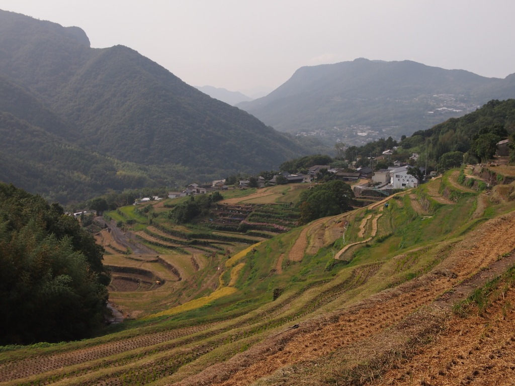 里山の風景１