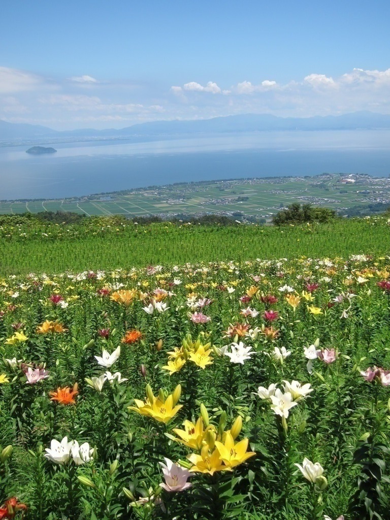 花園から琵琶湖を望む