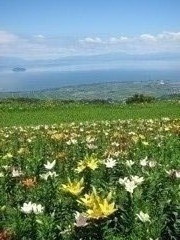 花園から琵琶湖を望む