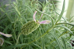 P1010507