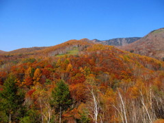 万座温泉の紅葉