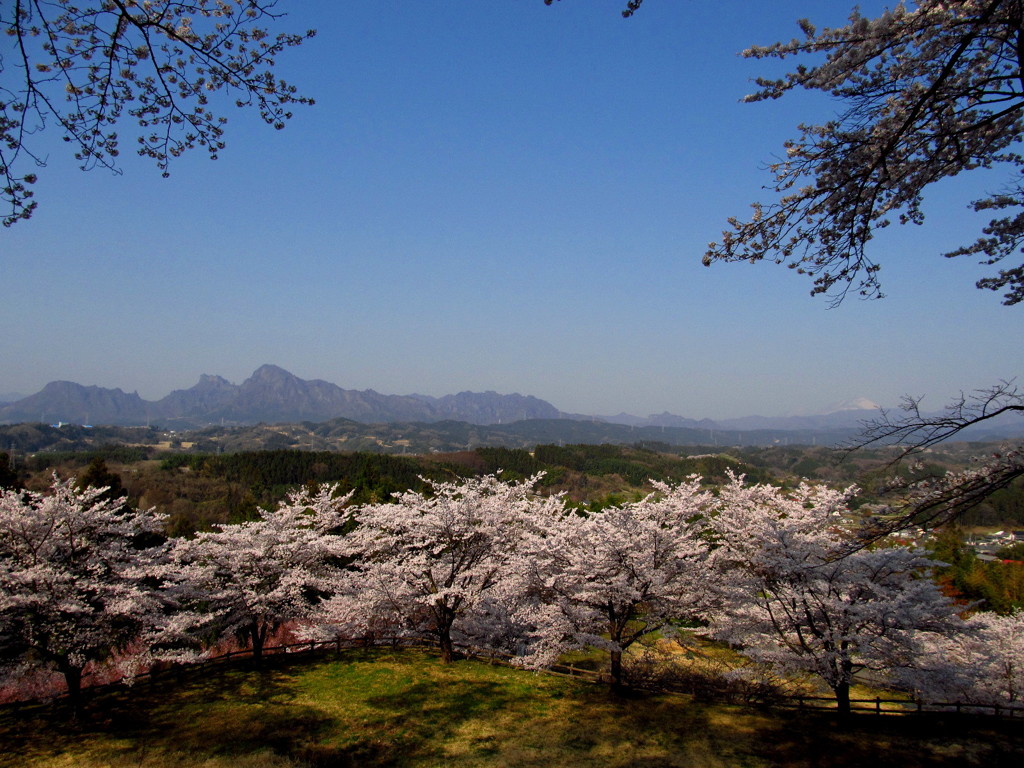 春景色