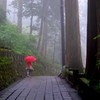 雨の榛名神社