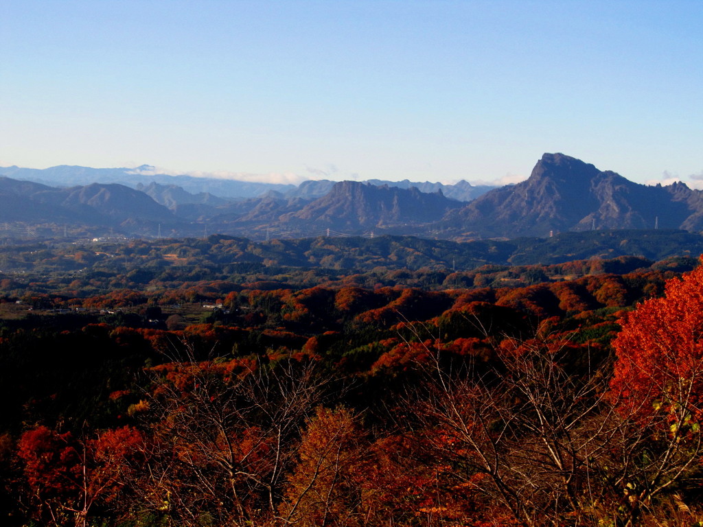 里山の秋