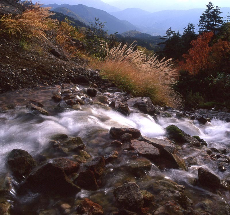 山の川