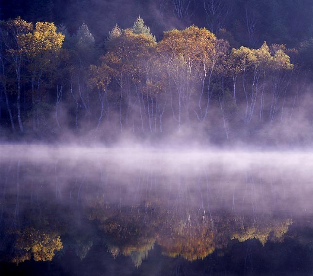 靄の朝・木戸池
