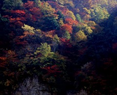 七色の山