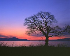 朝の色・琵琶湖