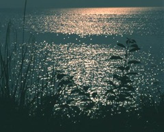 光る湖面・琵琶湖