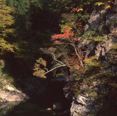 秋の双六渓谷