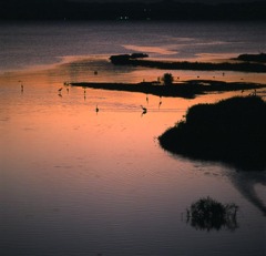 夕暮れの河口 ・琵琶湖
