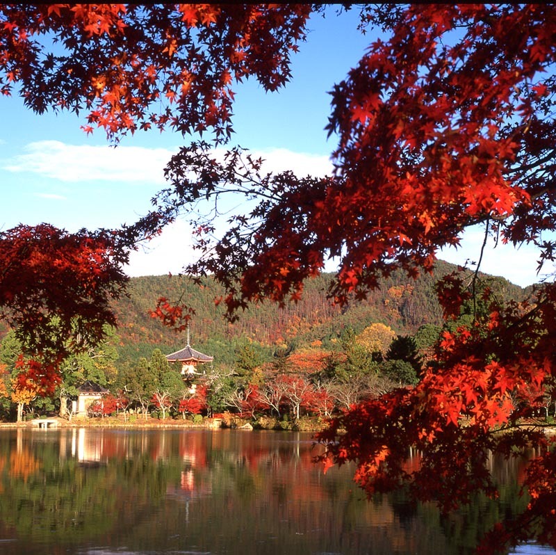 紅葉・大沢の池