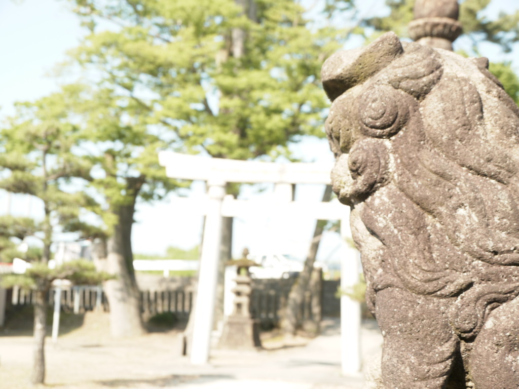 守っております。