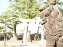 守っております。