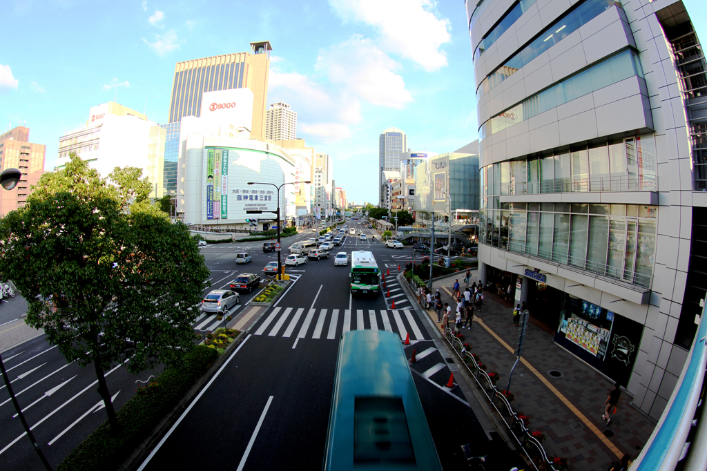 20120708_7878
