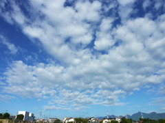 P1000874