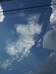 P1000266