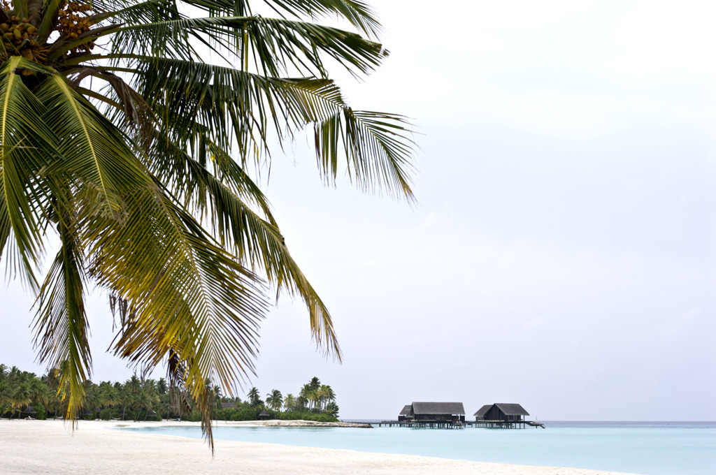 Maldives