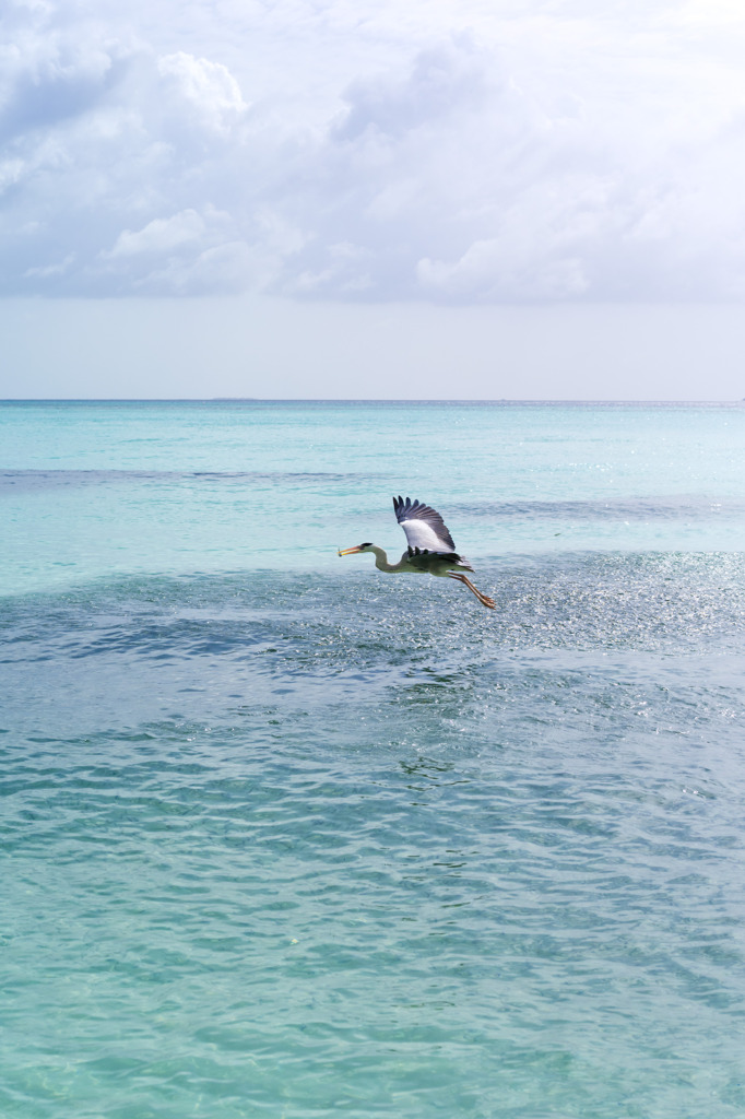 Maldives