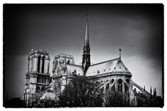 Cathédrale Notre-Dame de Paris