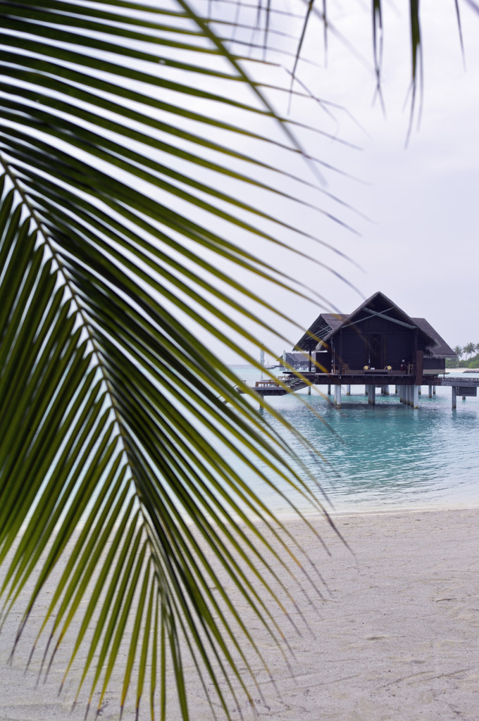 Maldives