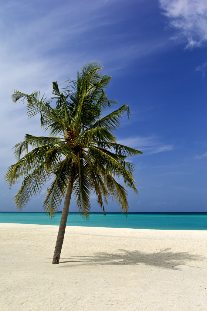 Maldives