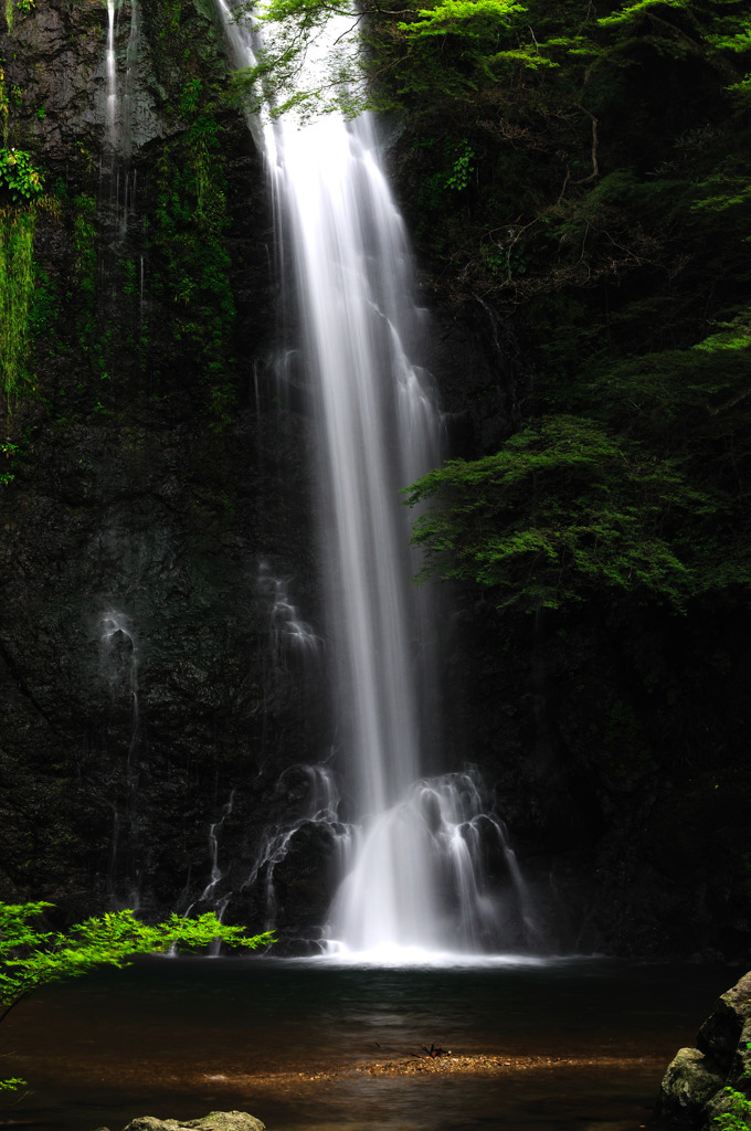 箕面の滝～7月～その2