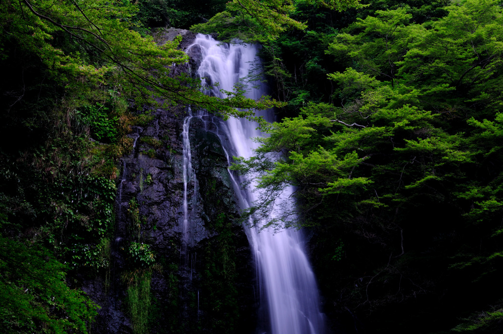 箕面の滝～7月～その1