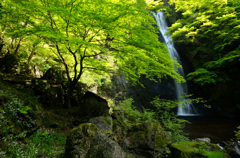 滝のある風景