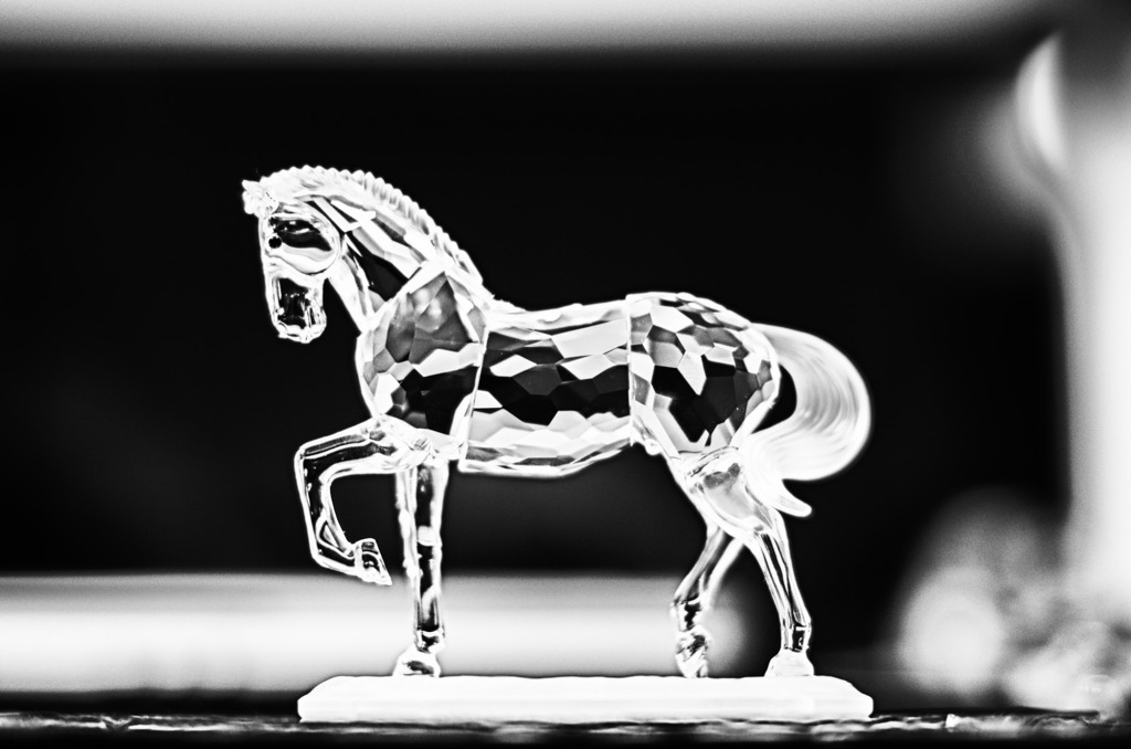 The shining horse!