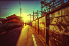 along the wall ～太陽に向かって～