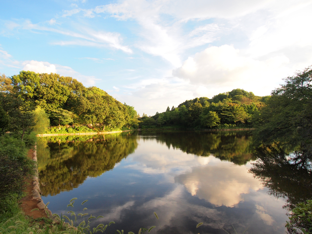 鶴見　三ツ池公園 2